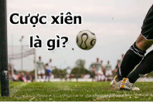 cuoc-xien-la-gi-cach-tinh-keo-cuoc-xien-don-gian-va-de-hieu